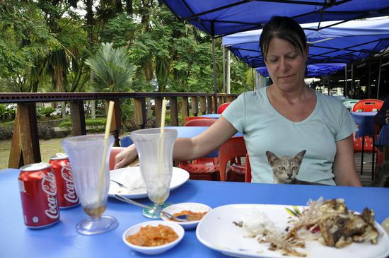 So ein kleiner Frechdachs!