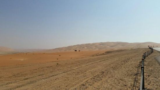 Manchmal sieht man ein paar einsame Kamele....