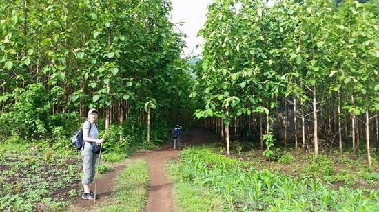 Und schon sind wir wieder auf dem Weg durch den Dschungel...