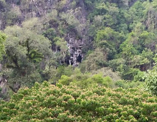 Mal rangezoomt....die ist sehr weit oben...