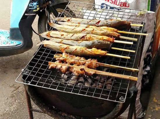 So ein Fleischspieß "to go" Die Fische sind Welse