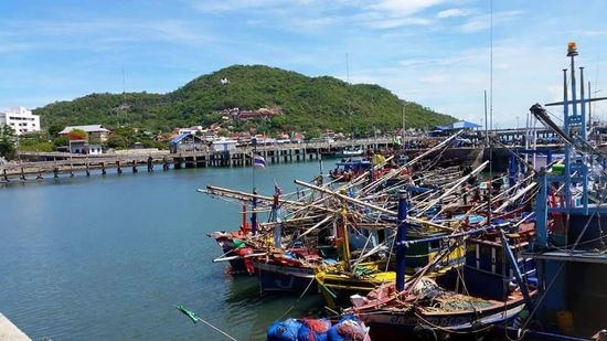 Blick in den Hafen....