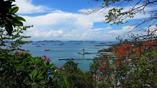 Wir können uns nicht sattsehen