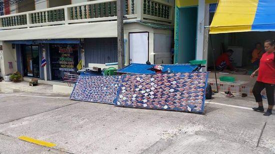 Hier werden kleine Tintenfische getrocknet