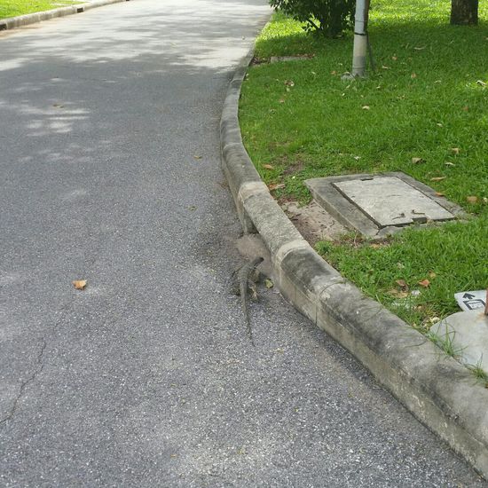 ...und verschwindet dann fix...