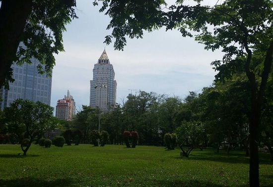 Blick in/vom LuminiPark