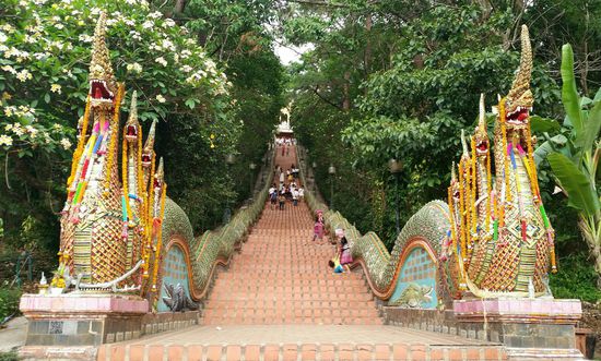 Und wieder die Stufen hinunter--man kann auch mit einer Seilbahn zur Anlage hoch fahren