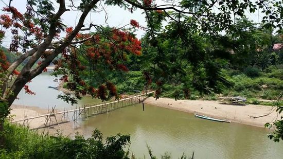 Über so eine Brücke wollen wir auch noch mal gehen...