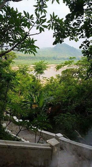 Blick von der oberen Höhle auf den Mekong.