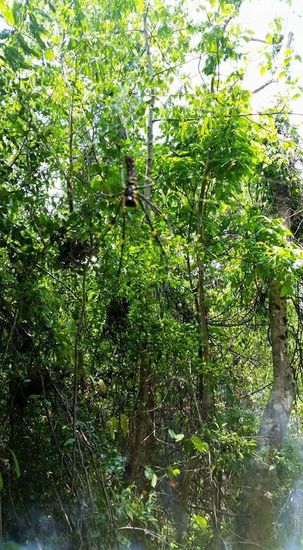 Ein Monster!!! Brrrr...sie ist nicht giftig, aber ihr Biss tut sehr weh