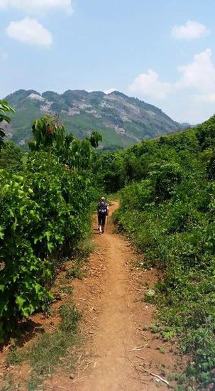 Ständig wechselnde Landschaft..