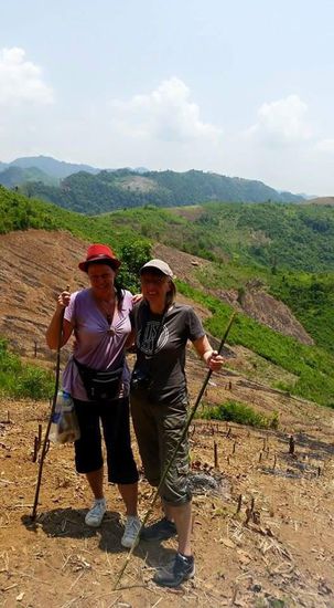 Hier kann im Hintergrund ein Beispiel für die Brandrodung sehen...