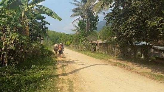 Ein Mann mit einem Büffel kommt ins Dorf