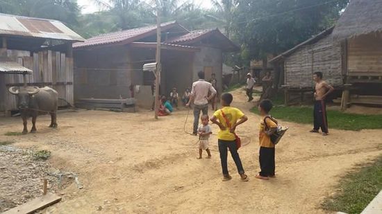 Der Büffel wurde gestohlen und alle freuen sich dass er nun wieder da ist