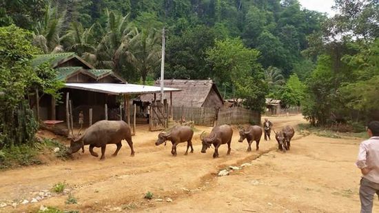 Wir besuchen auch das Nachbardorf