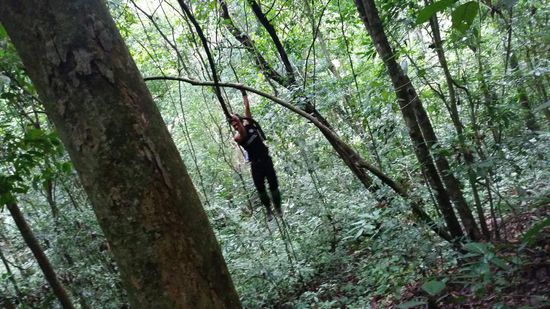 Sieht Alex eine Liane, spielt er Tarzan...