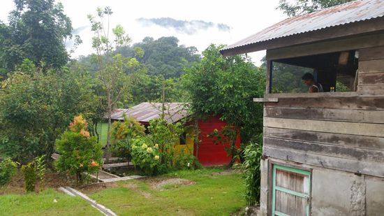 Blick in den Garten und rechts bereitet der Junge das Essen in der Küche vor