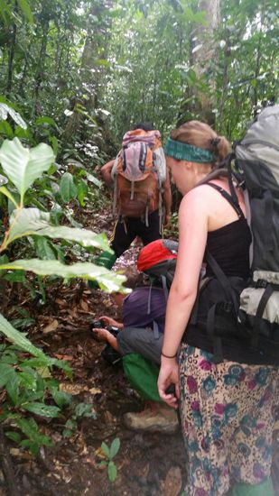 Wieder viel Gekraxel..