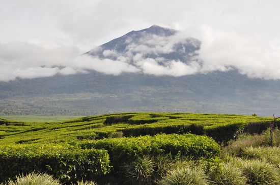 Unser erster Blick auf den Kerinchi...