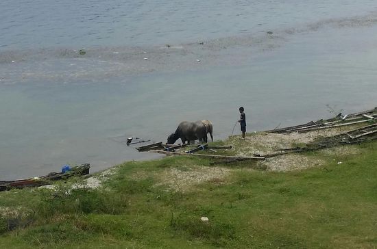 Nochmal den Ausschntt vergrößert...