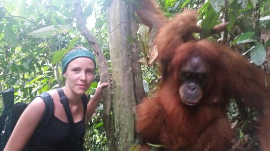 Die sind so zutraulich