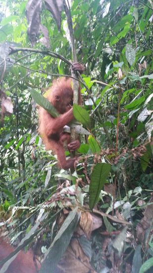 Das Baby entfernt sich mal kurz von Mama
