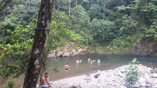 Alle springen ins kühle Nass...