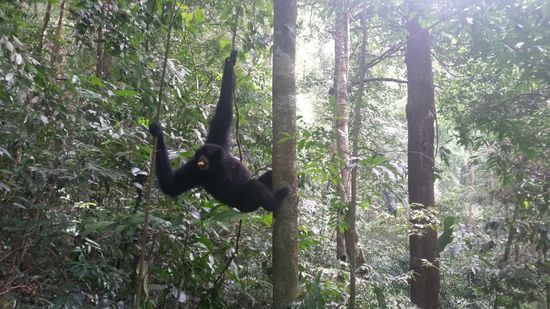 Schnappt sich was ...