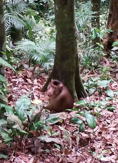 Der Dicke schaut uns beim Essen zu...