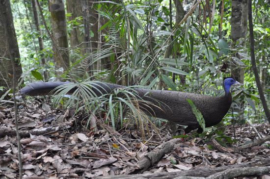 Auch der besucht uns