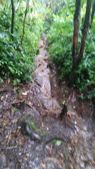Der Weg ist schlammig und rutschig und steil