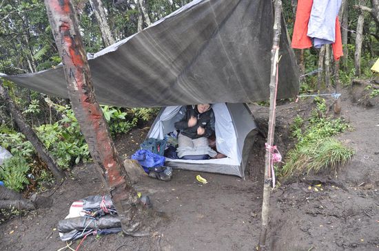 Jetzt ist sie wieder fit...