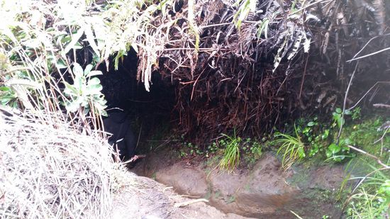 Da müssen wir ach durch--ich auf dem Po--ist jetzt auch egal