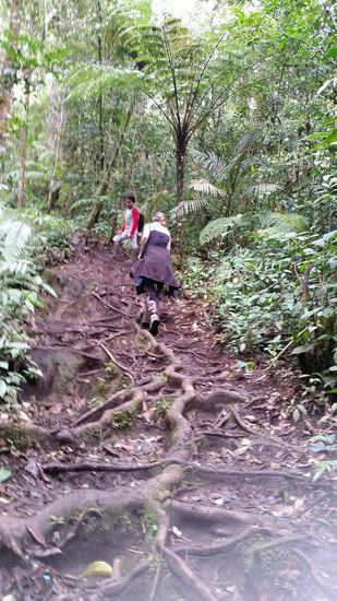 Wieder anstrengend...