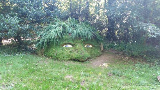 the Giant's Head