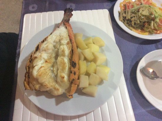 Dinosaurier-Languste--unglaublich!!!