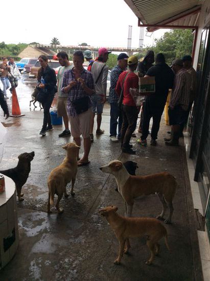 Mit so einem Brötchen hat man auf einmal viele Freunde...