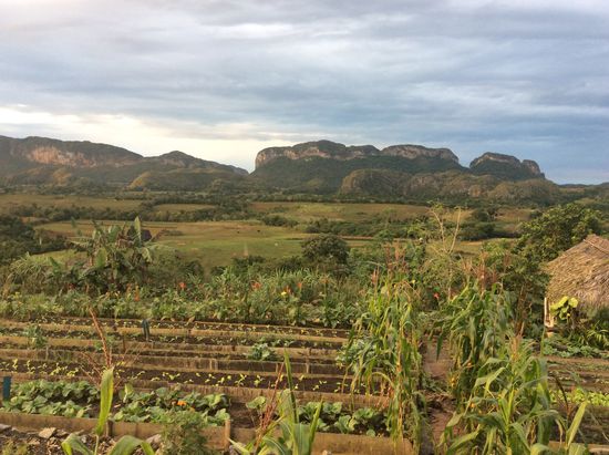 Die tolle Aussicht von jedem Tisch
