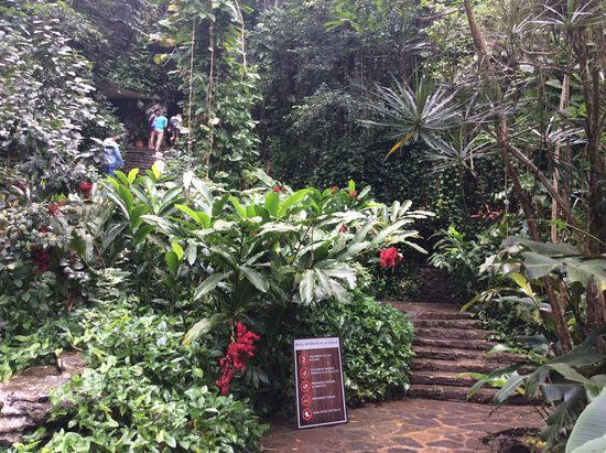 Zur "Cueva del Indio"