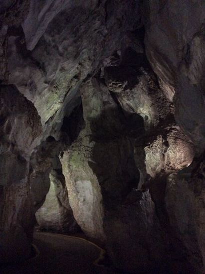 Naja. so doll sind die Fotos nicht...