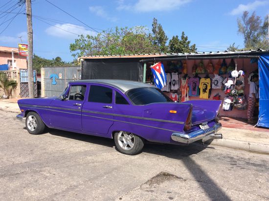 Tolle Farbe--sieht man nicht so richtig--aber der ist eher auberginefarbig