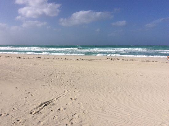 Viel Wind, hohe Wellen