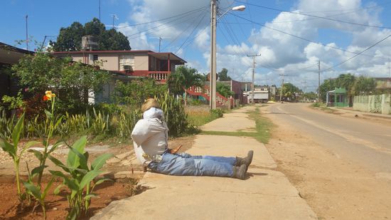 Die gibt es hier zum Jahreswechsel