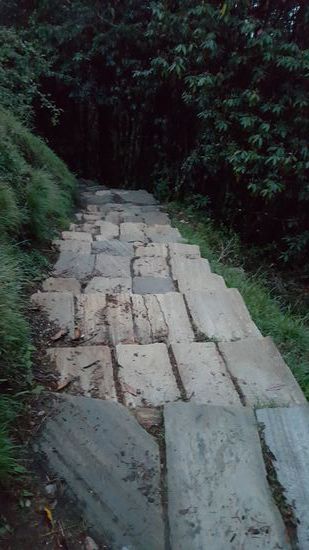 ...und wieder Stufen........