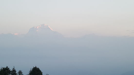 Da zeigt er sich vorsichtig, der Daulagiri ...