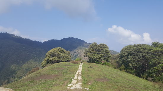 Dann geht es weiter......up and down....up and down...hier ein Blick auf den Poon Hill...