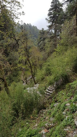 Der Weg führt dann durch eine Schlucht immer entlang eines großen Flußlaufs. Jetzt wieder mit schier endlosen Steintreppen. Was hat es wohl an Energie gekostet, das alles so anzulegen...