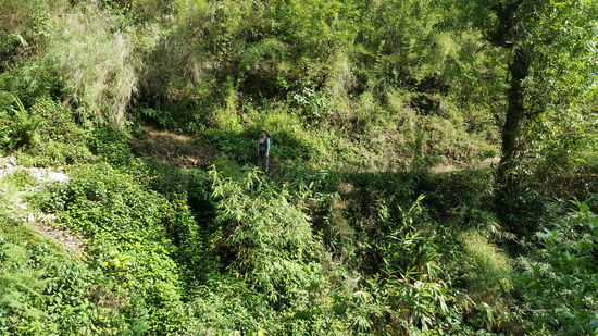 Suchbild: wo ist die Ines???