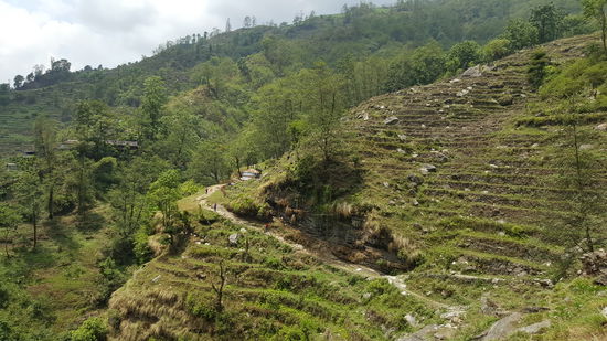 Heute ist der Weg nicht ganz so anstrengend, wie an den anderen Tagen. Allerdings haben 4 Tage Trekking auch Spuren hinterlassen und die Kräfte lassen etwas nach.