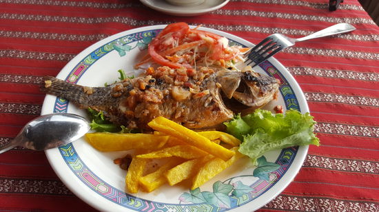 Heute sollte es Fisch sein. Der war lecker, aber zu Klein 